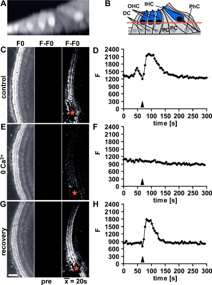 Fig. 3