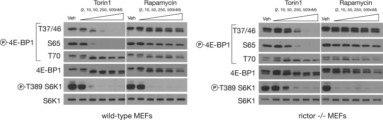 Figure 4A.