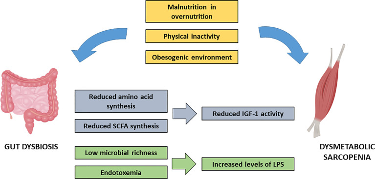 Figure 3