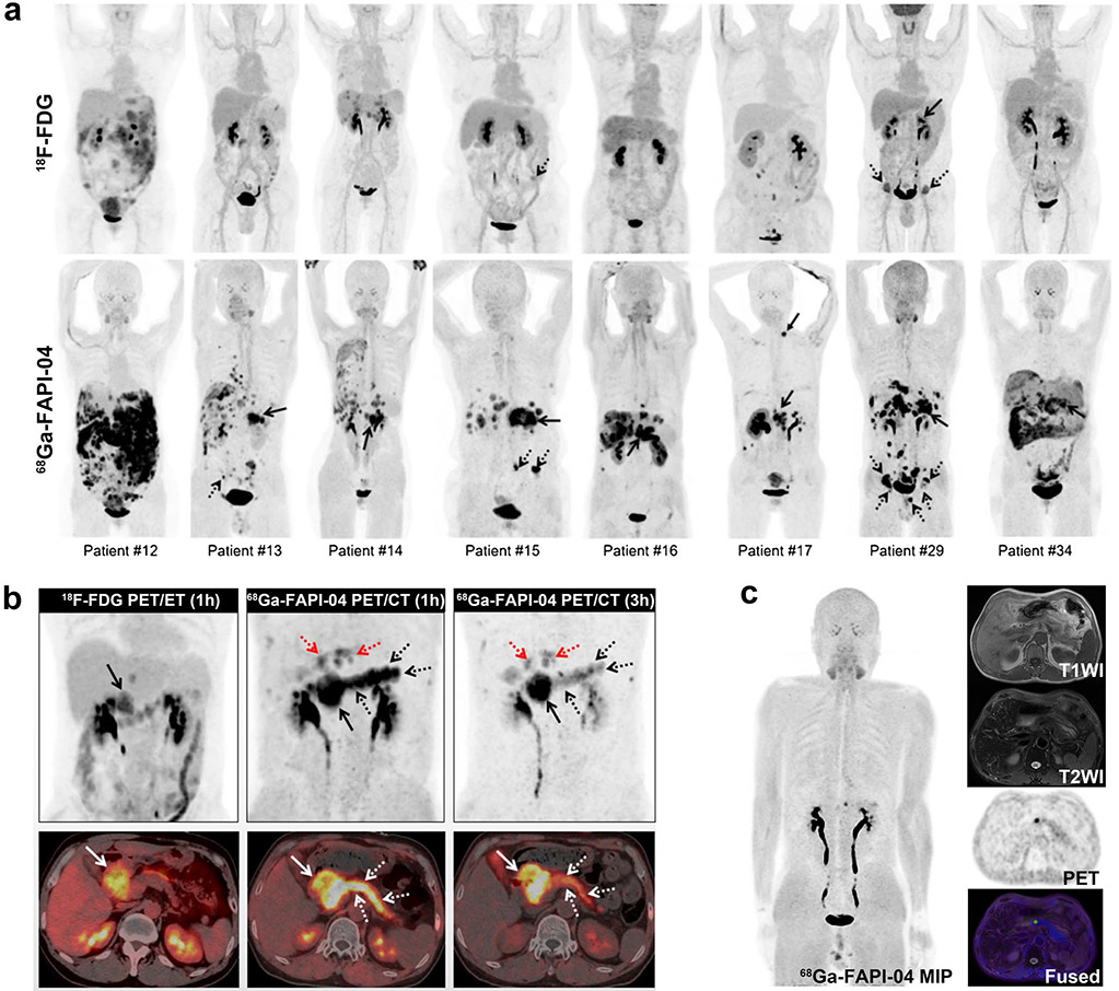 Fig. 6