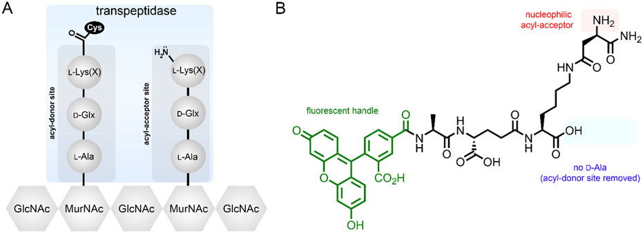 Fig. 4.