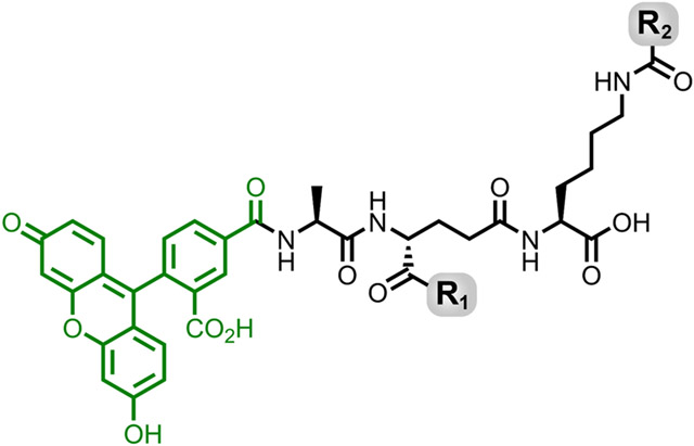 Fig. 5.