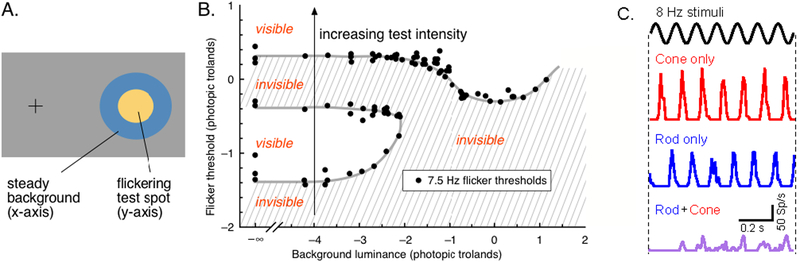 Figure 4: