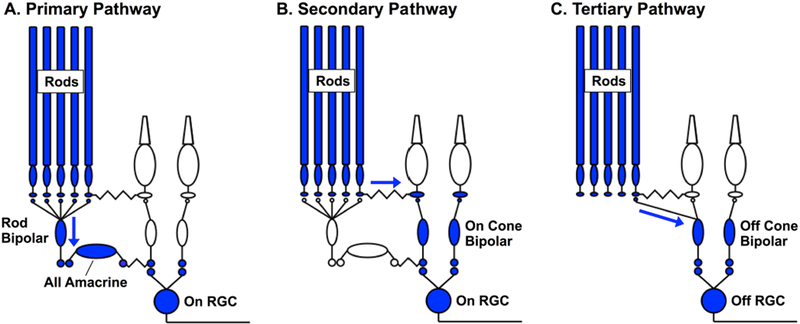 Figure 2: