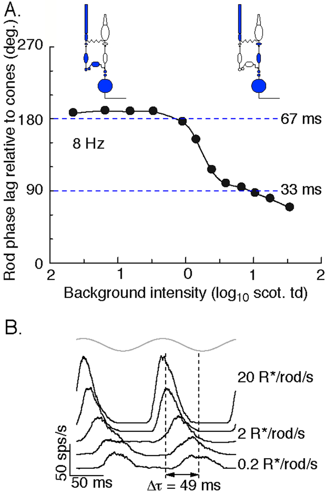 Figure 5: