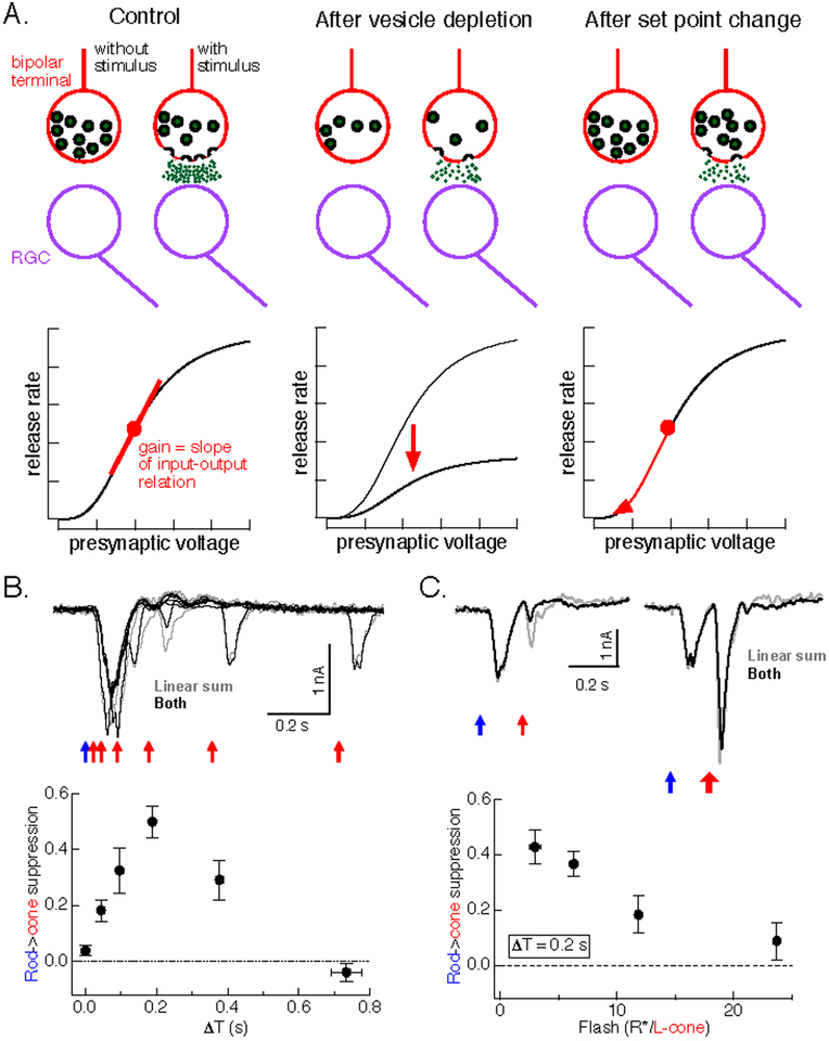 Figure 6: