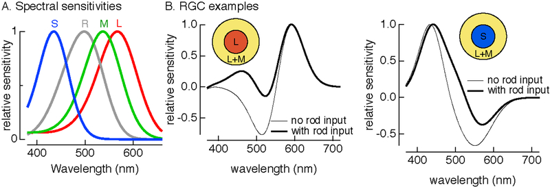 Figure 3: