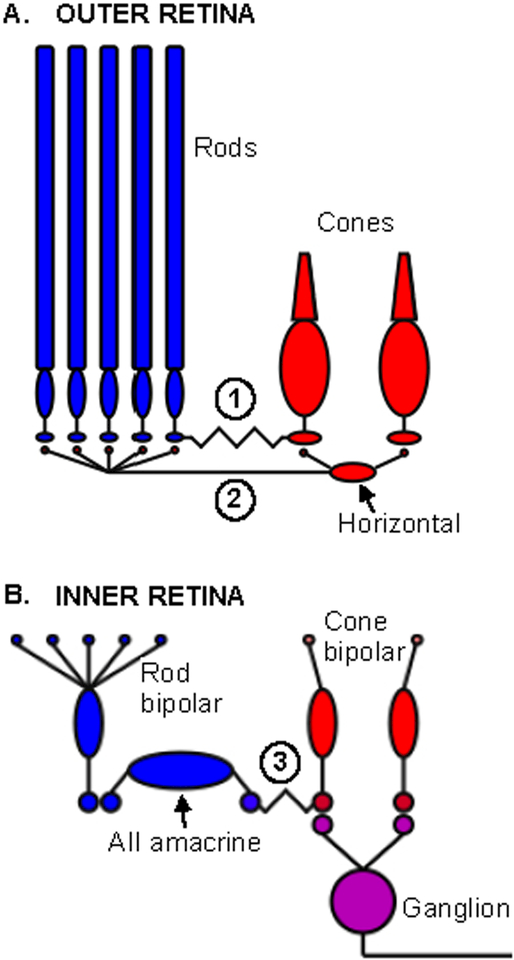 Figure 1: