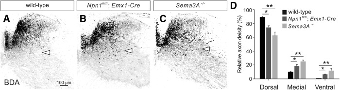 Figure 9.