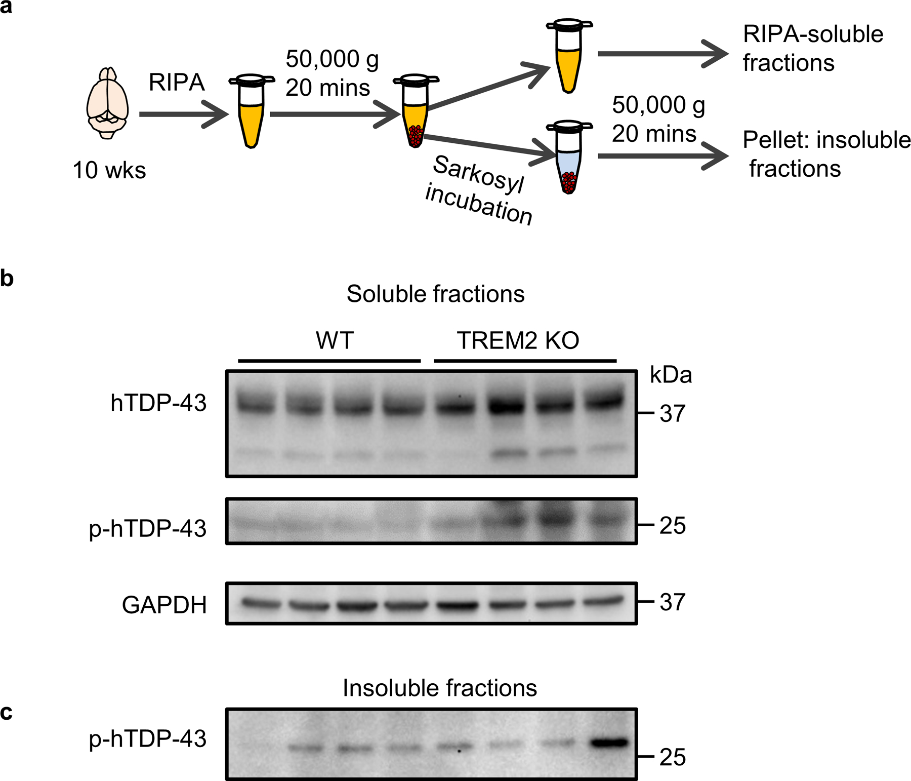 Extended Data Fig. 3