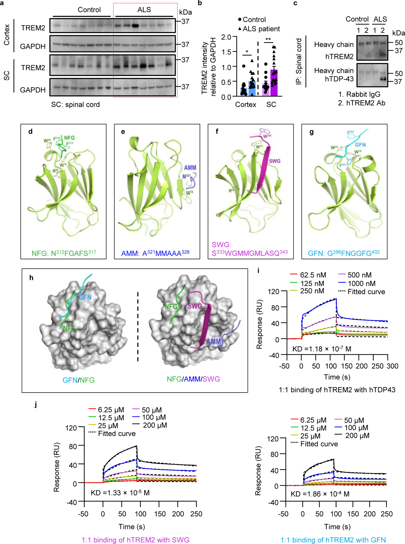 Fig 7.