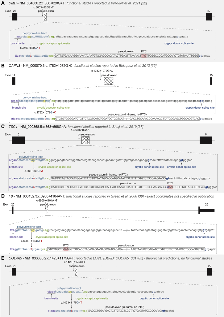 Figure 6