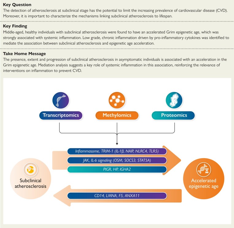 Structured Graphical Abstract