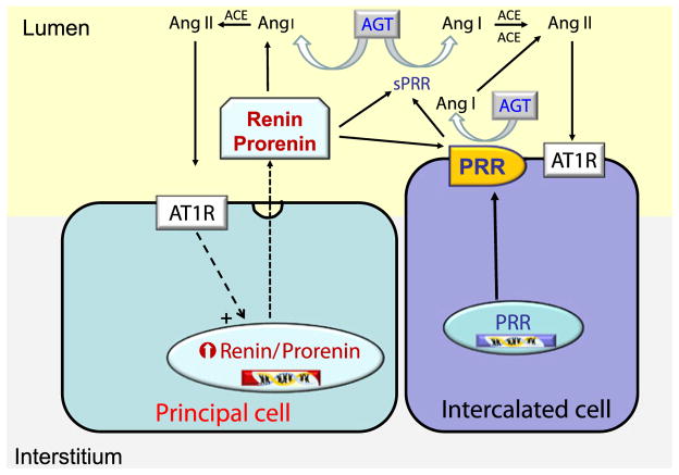 Fig. 4