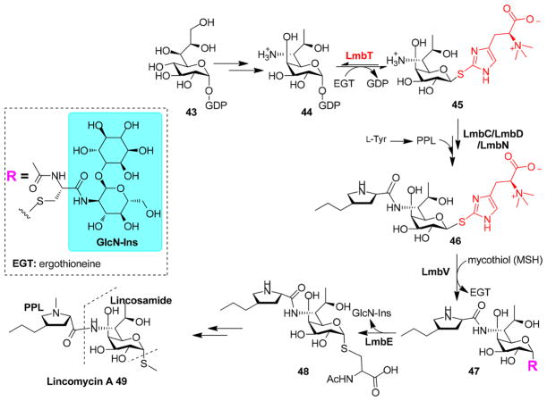 Figure 14