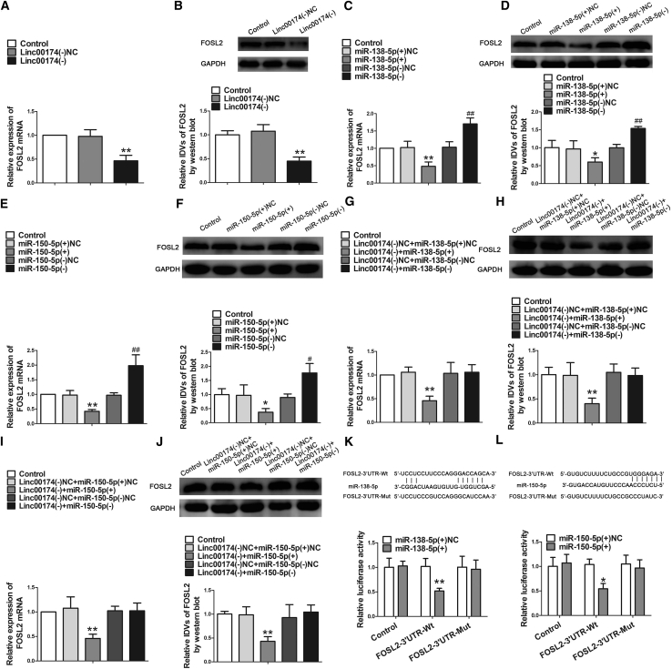 Figure 5