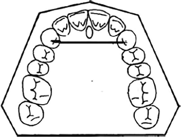 Fig. 5