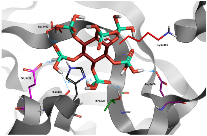 Figure 4