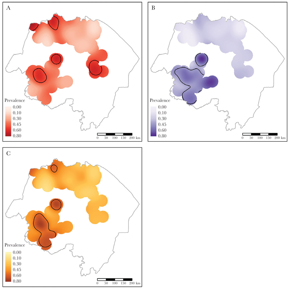 Figure 4.