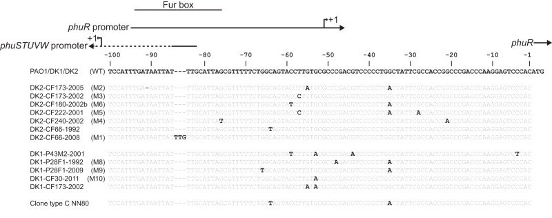 FIG 2 