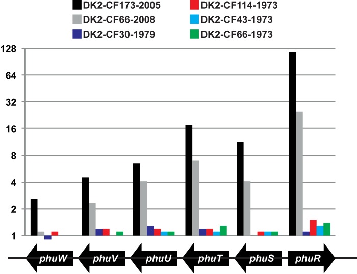 FIG 3 