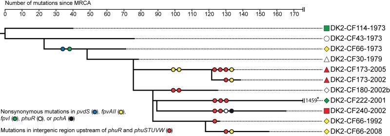 FIG 1 