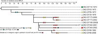 FIG 1
