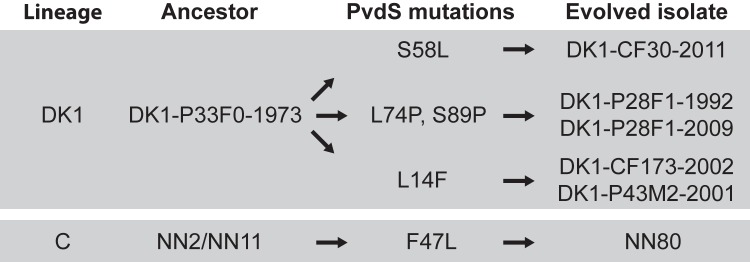 FIG 4 