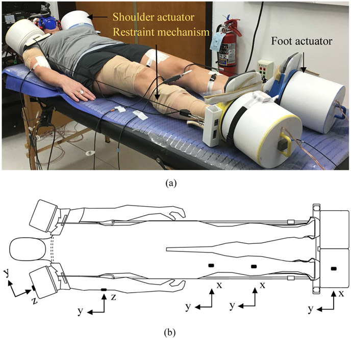 FIGURE 1.