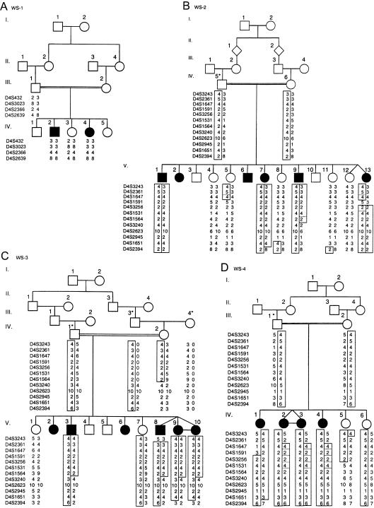 Figure  1