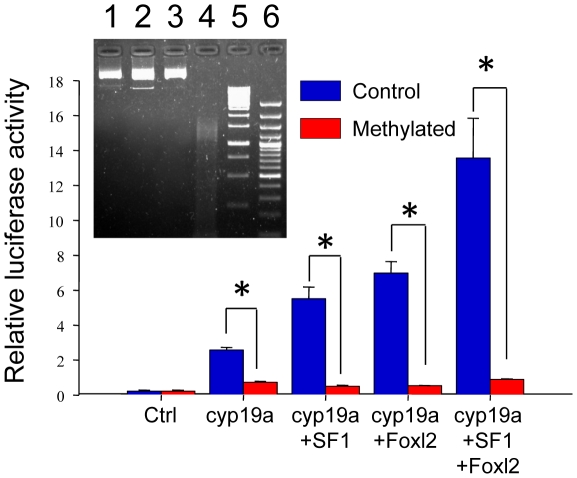 Figure 7