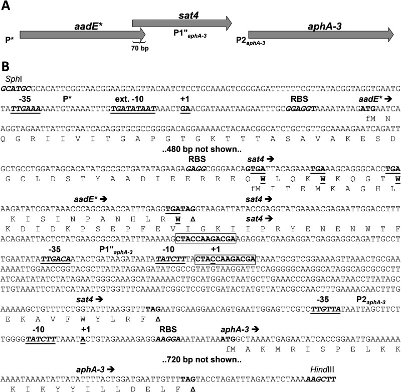 FIG 4