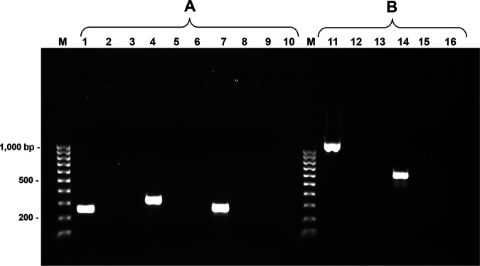 FIG 3