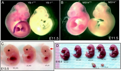 FIG. 5.