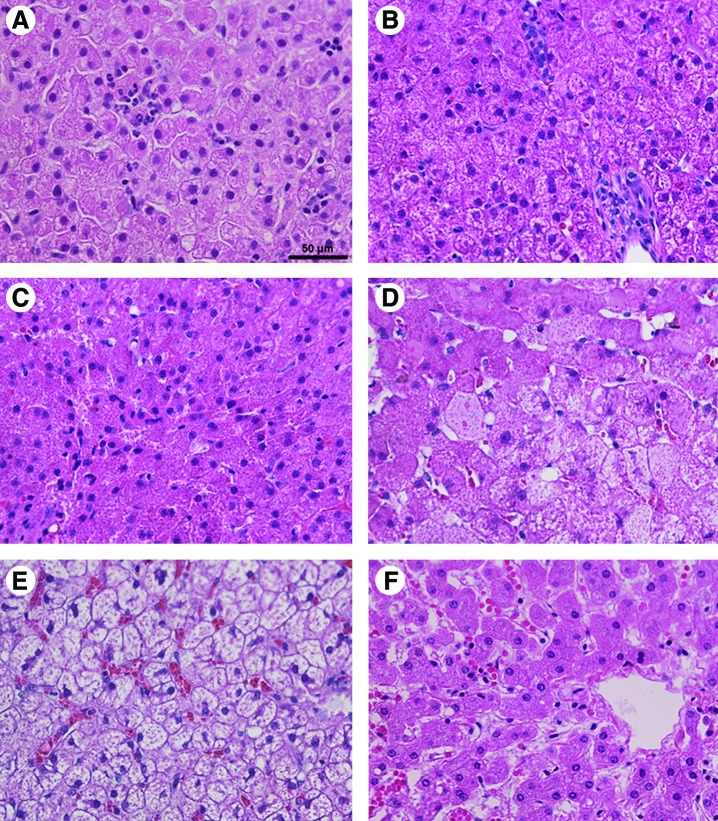 FIG. 7.