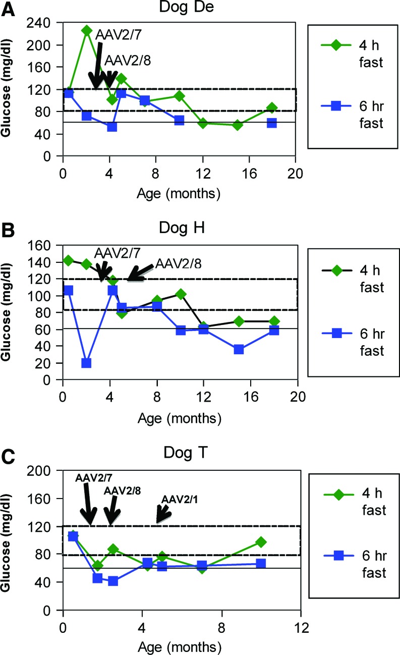 FIG. 2.