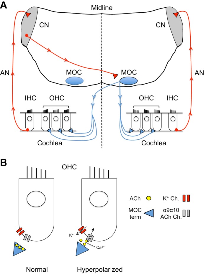 Fig. 1.