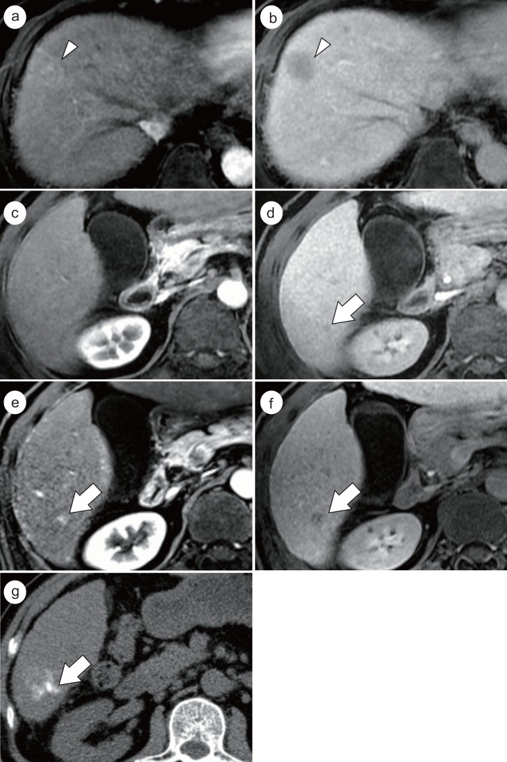 Fig. 9