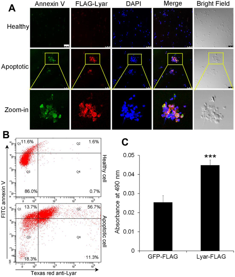 Fig. 4.