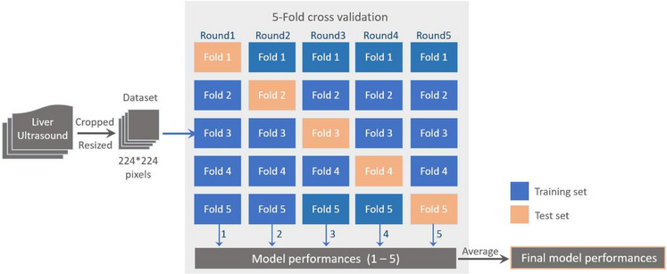 FIGURE 2