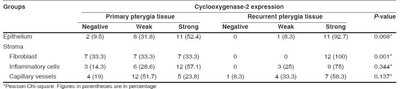 graphic file with name IndianJOphthalmol-56-279-g006.jpg