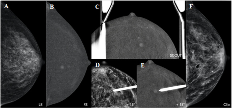 Figure 7.