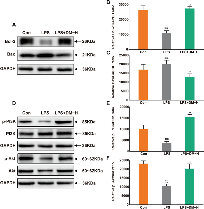 Fig. 13