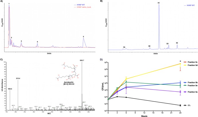 FIG 3