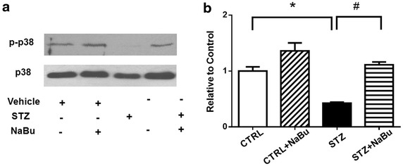 Fig. 6