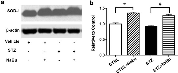 Fig. 8