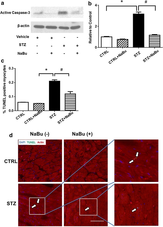 Fig. 7