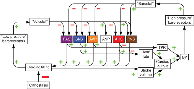 Figure 22