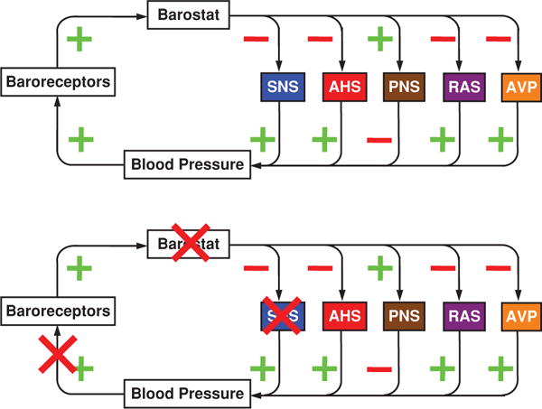 Figure 33