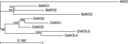 Figure 7.